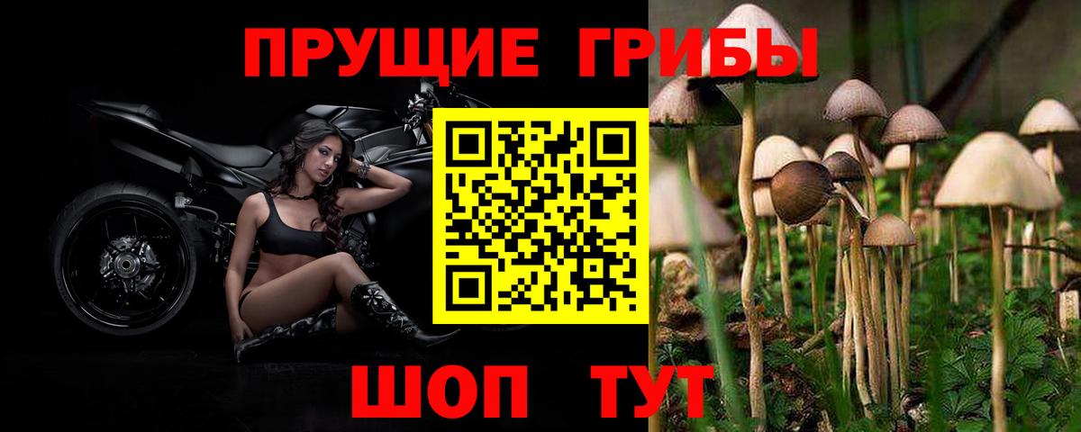 Галлюциногенные грибы Magic Shrooms Стрежевой