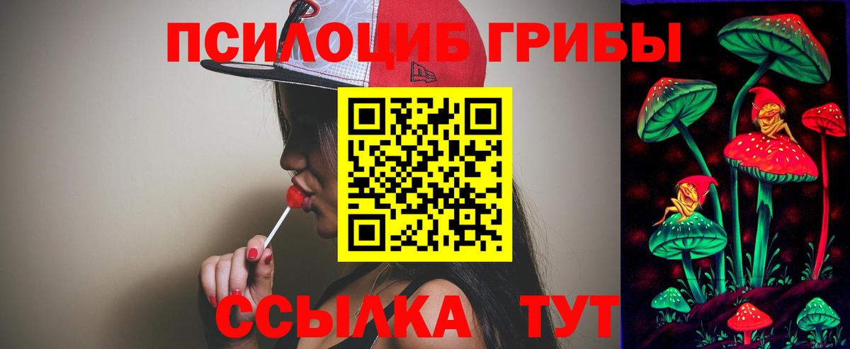 что такое   Вход с VPN  Стрежевой  Псилоцибиновые грибы мухоморы 